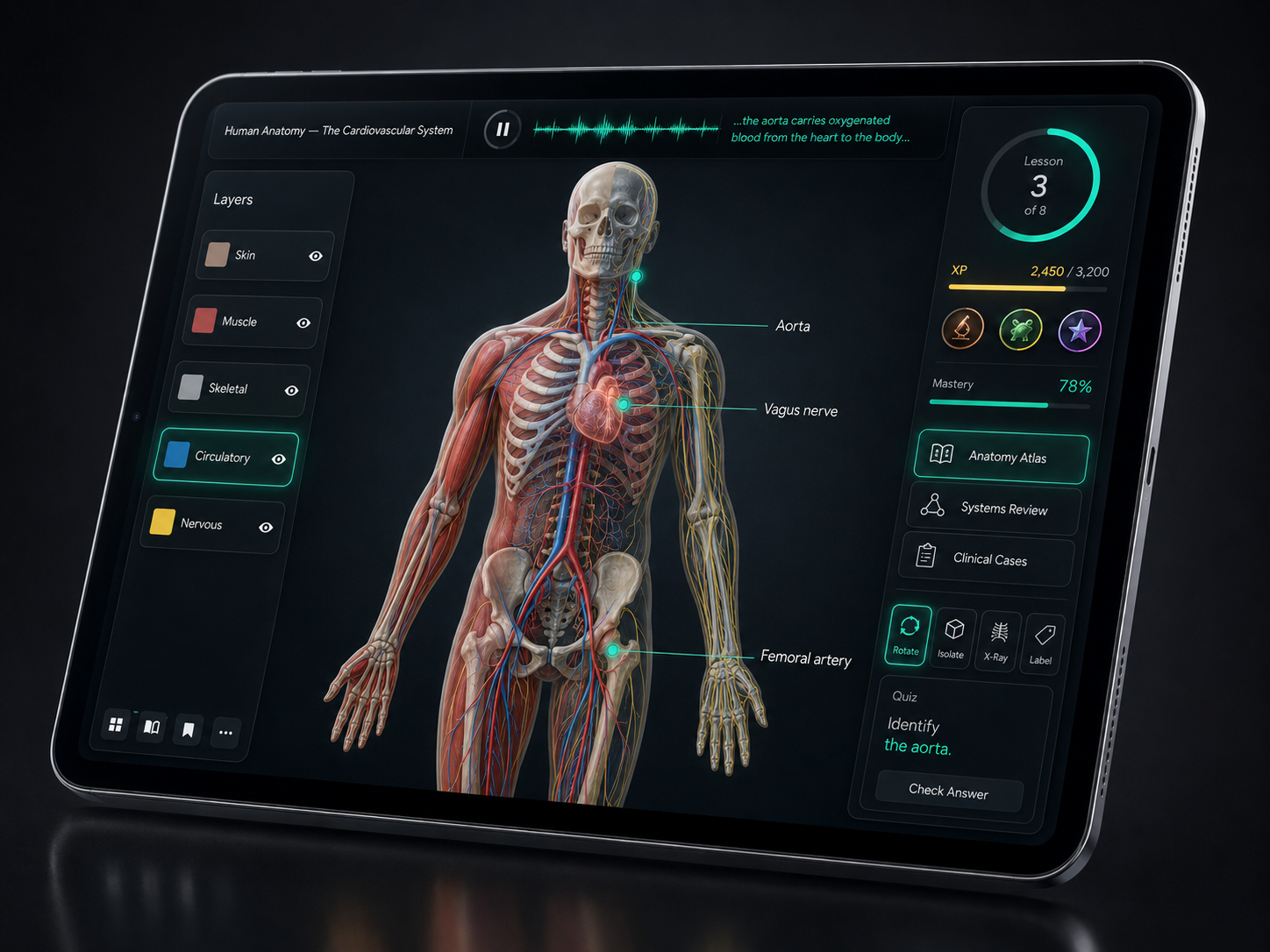 Human anatomy cardiovascular lesson on the BookGame engine